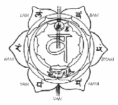 Swadhistana