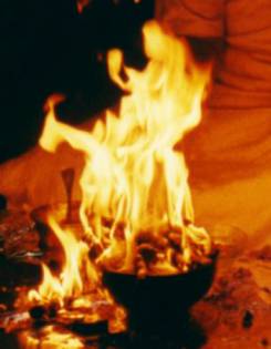 Fire Devas