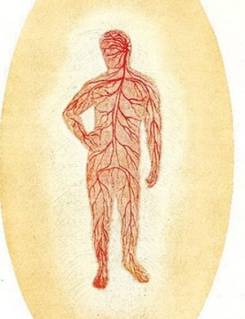 Etheric Body, from Man Visible and Invisible, by C.W. Leadbeater